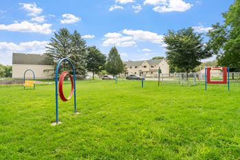 Dog park